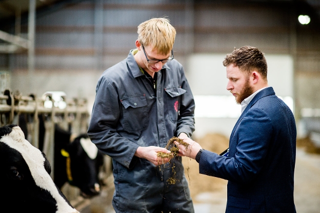 consultation in a cowshed